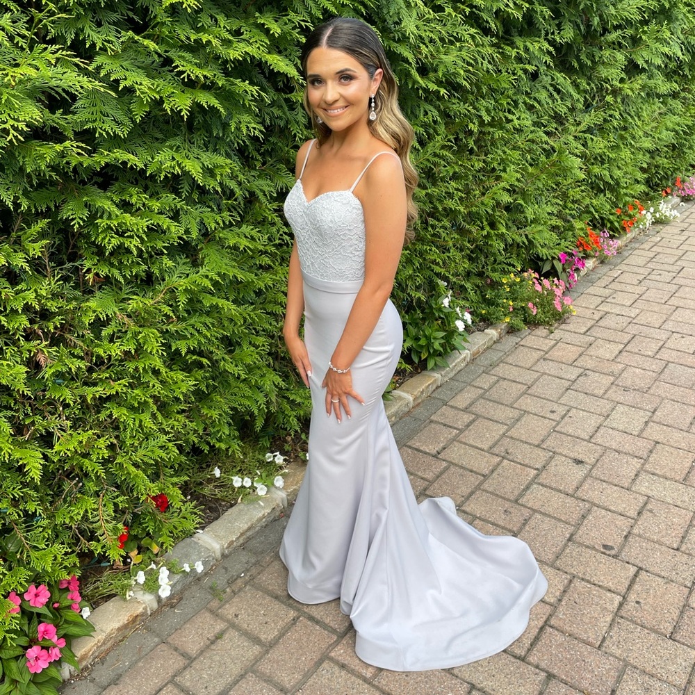 Portia and Scarlet Gray Lace Gown with Horse Hair Train